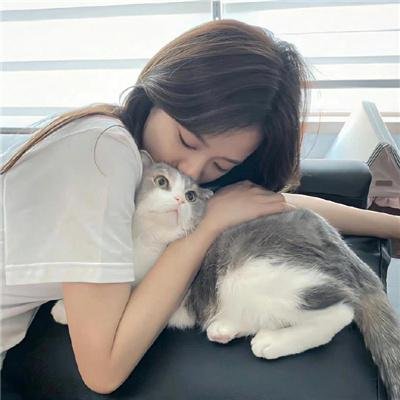 超然芯动